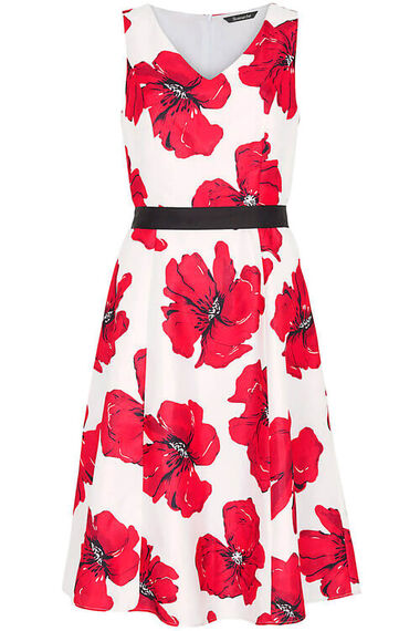 Signature Poppy Print Dress