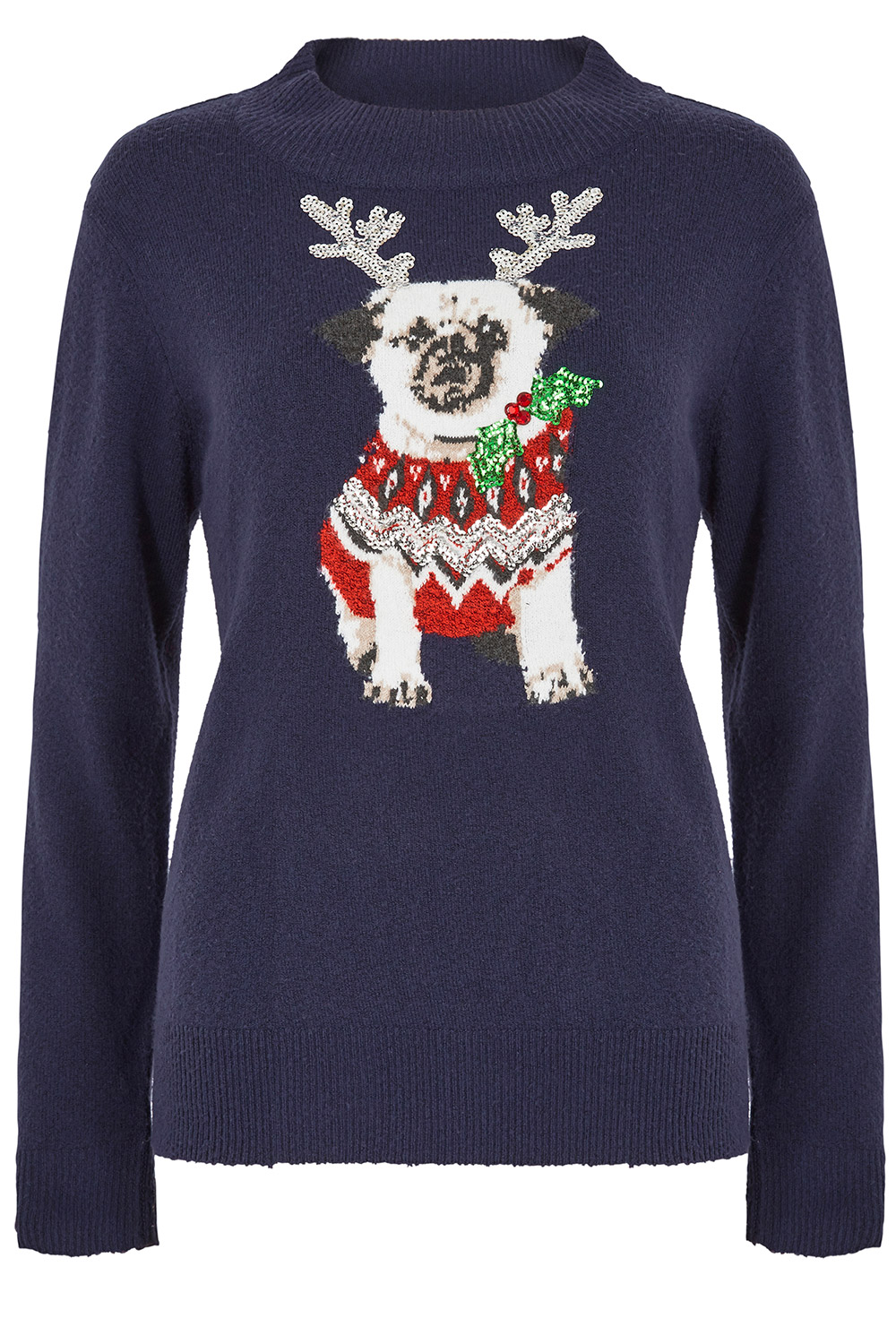 christmas jumper for a pug