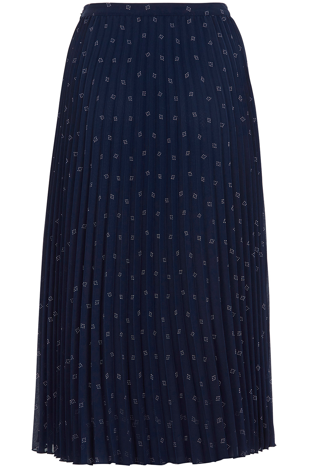 Pleated Chiffon Printed Skirt